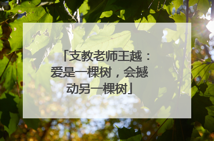 支教老师王越：爱是一棵树，会撼动另一棵树
