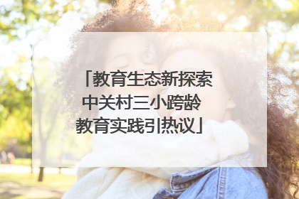 教育生态新探索 中关村三小跨龄教育实践引热议