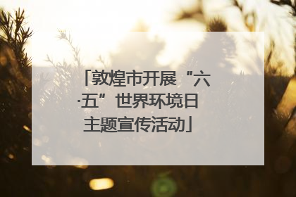 敦煌市开展“六·五”世界环境日主题宣传活动