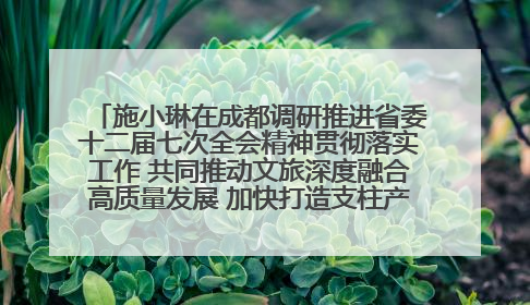施小琳在成都调研推进省委十二届七次全会精神贯彻落实工作 共同推动文旅深度融合高质量发展 加快打造支柱产业民生产业幸福产业
