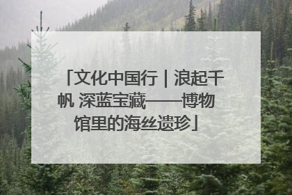 文化中国行｜浪起千帆 深蓝宝藏——博物馆里的海丝遗珍