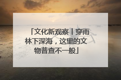 文化新观察丨穿雨林下深海，这里的文物普查不一般