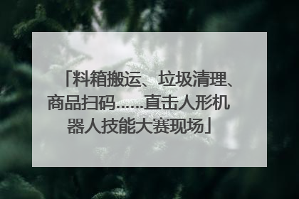 料箱搬运、垃圾清理、商品扫码……直击人形机器人技能大赛现场