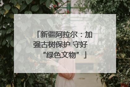 新疆阿拉尔：加强古树保护 守好“绿色文物”