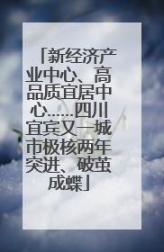 新经济产业中心、高品质宜居中心……四川宜宾又一城市极核两年突进、破茧成蝶