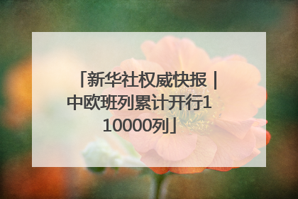 新华社权威快报｜中欧班列累计开行110000列