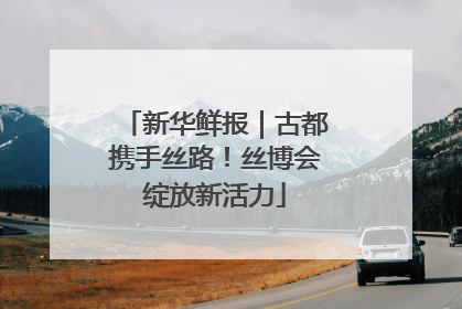 新华鲜报｜古都携手丝路！丝博会绽放新活力