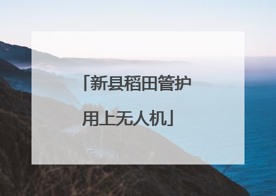 新县稻田管护用上无人机