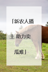 新农人播主 助力卖瓜难