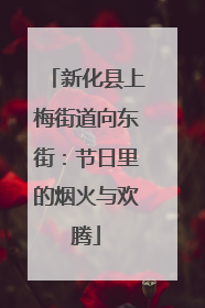 新化县上梅街道向东街：节日里的烟火与欢腾