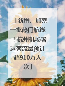 新增、加密一批热门航线！杭州机场暑运客流量预计超910万人次