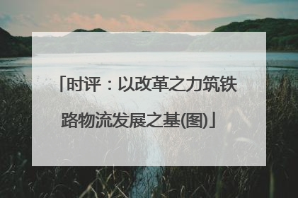 时评：以改革之力筑铁路物流发展之基(图)