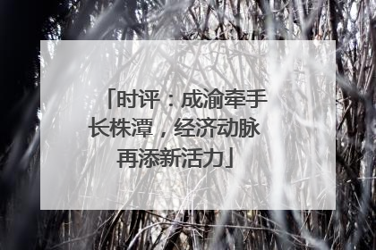 时评：成渝牵手长株潭，经济动脉再添新活力