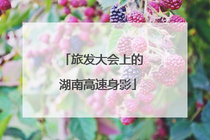 旅发大会上的湖南高速身影