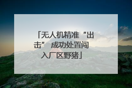 无人机精准“出击” 成功处置闯入厂区野猪