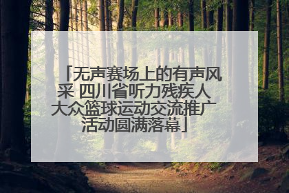 无声赛场上的有声风采 四川省听力残疾人大众篮球运动交流推广活动圆满落幕