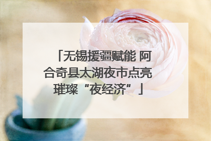 无锡援疆赋能 阿合奇县太湖夜市点亮璀璨“夜经济”
