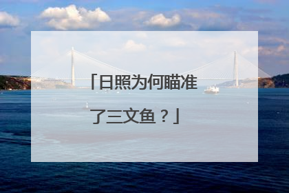 日照为何瞄准了三文鱼？