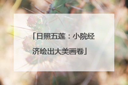 日照五莲：小院经济绘出大美画卷