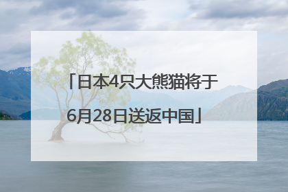 日本4只大熊猫将于6月28日送返中国