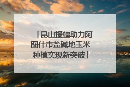 昆山援疆助力阿图什市盐碱地玉米种植实现新突破