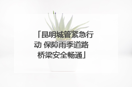 昆明城管紧急行动 保障雨季道路桥梁安全畅通