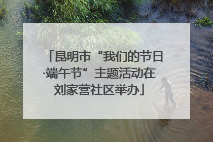昆明市“我们的节日·端午节”主题活动在刘家营社区举办