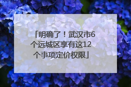 明确了！武汉市6个远城区享有这12个事项定价权限