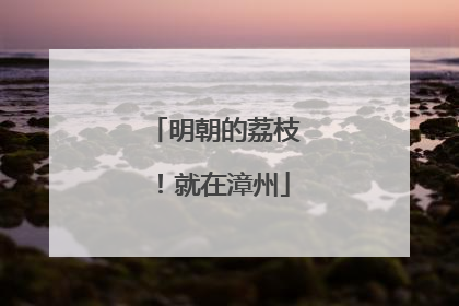 明朝的荔枝！就在漳州