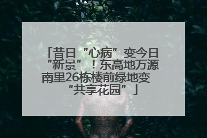 昔日“心病”变今日“新景”！东高地万源南里26栋楼前绿地变“共享花园”