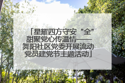 星耀四方守安“全” 甜聚党心传温情——舞阳社区党委开展流动党员建党节主题活动