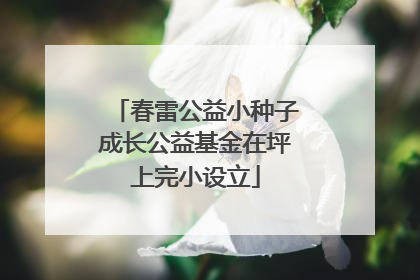 春雷公益小种子成长公益基金在坪上完小设立