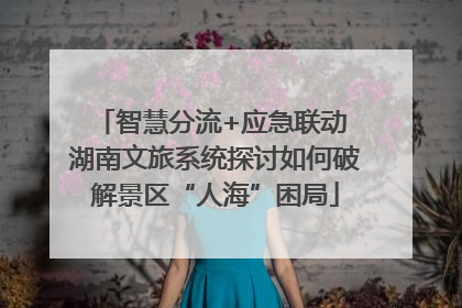 智慧分流+应急联动 湖南文旅系统探讨如何破解景区“人海”困局