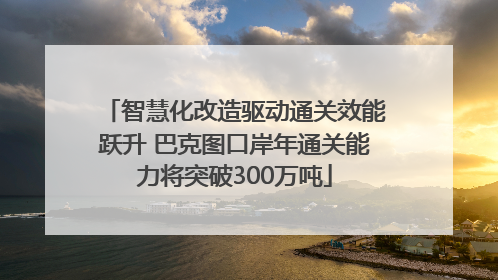 智慧化改造驱动通关效能跃升 巴克图口岸年通关能力将突破300万吨