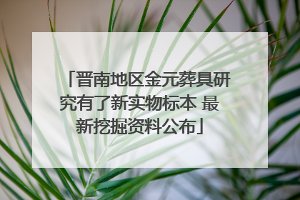 晋南地区金元葬具研究有了新实物标本 最新挖掘资料公布