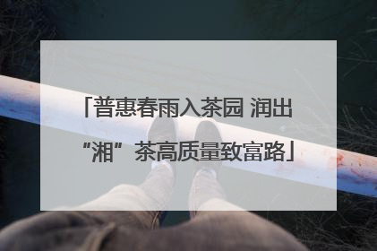 普惠春雨入茶园 润出“湘”茶高质量致富路