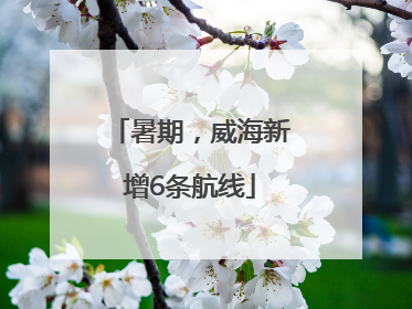 暑期，威海新增6条航线