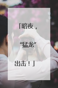 暗夜，“猛龙”出击！