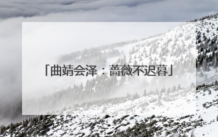 曲靖会泽：蔷薇不迟暮