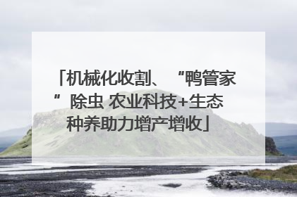 机械化收割、“鸭管家”除虫 农业科技+生态种养助力增产增收