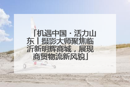 机遇中国・活力山东丨摄影大师聚焦临沂新明辉商城，展现商贸物流新风貌
