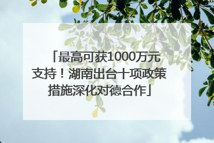 最高可获1000万元支持！湖南出台十项政策措施深化对德合作