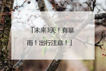 未来3天！有暴雨！出行注意！