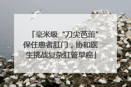 毫米级“刀尖芭蕾”保住患者肛门，协和医生挑战复杂肛管早癌