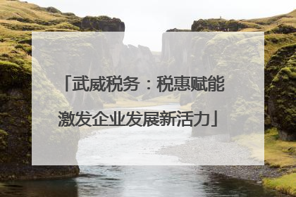 武威税务：税惠赋能 激发企业发展新活力