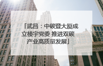 武昌：中碳登大厦成立楼宇党委 推进双碳产业高质量发展
