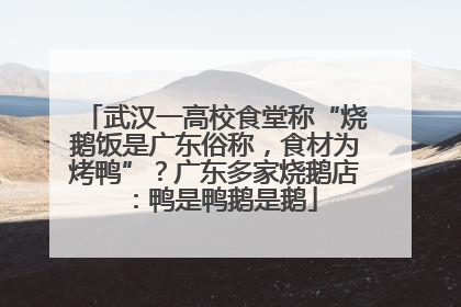武汉一高校食堂称“烧鹅饭是广东俗称，食材为烤鸭”？广东多家烧鹅店：鸭是鸭鹅是鹅
