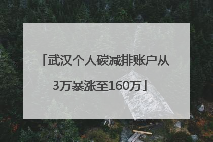 武汉个人碳减排账户从3万暴涨至160万