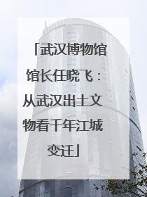 武汉博物馆馆长任晓飞：从武汉出土文物看千年江城变迁