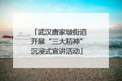 武汉唐家墩街道开展“三大精神”沉浸式宣讲活动